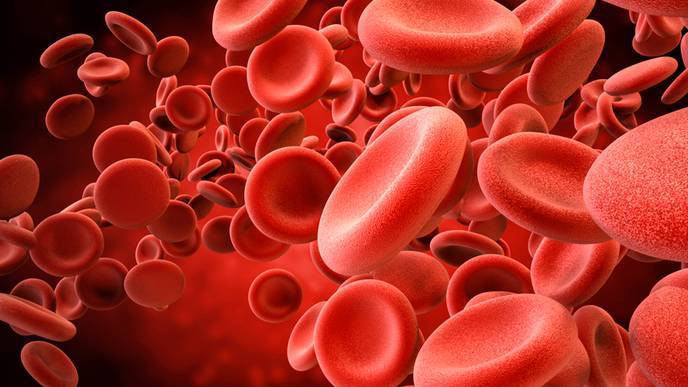 Elevated Clotting Factor V Levels Linked to Worse Outcomes in Severe COVID-19 Infections
