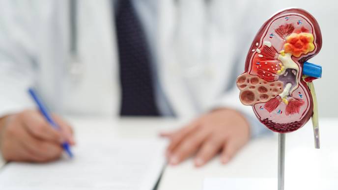 ReachMD Healthcare Image