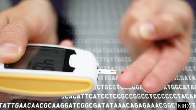 New Trial Shows No Benefits of Dairy Foods for Blood Sugar Regulation