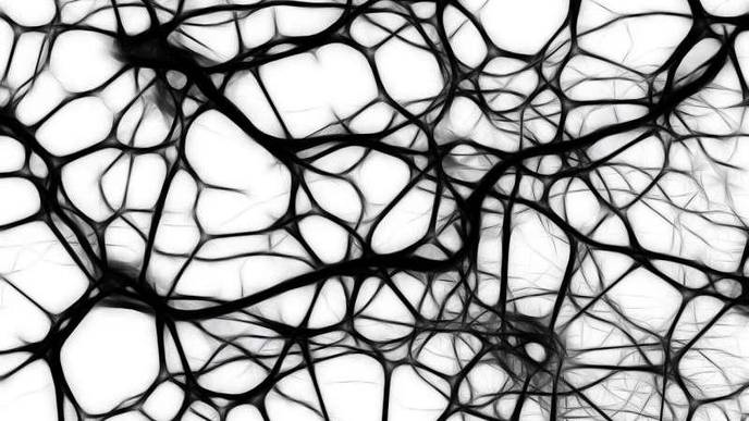 New Tool Helps Gather Useful Genetic Information Obtained from Blood, Skin Tissues