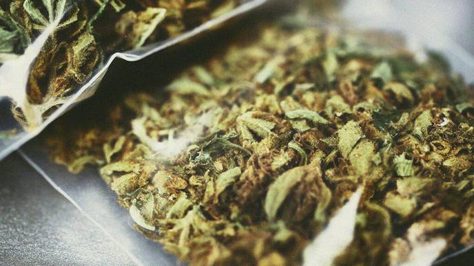 What to Know About Cannabis & Bipolar Disorder