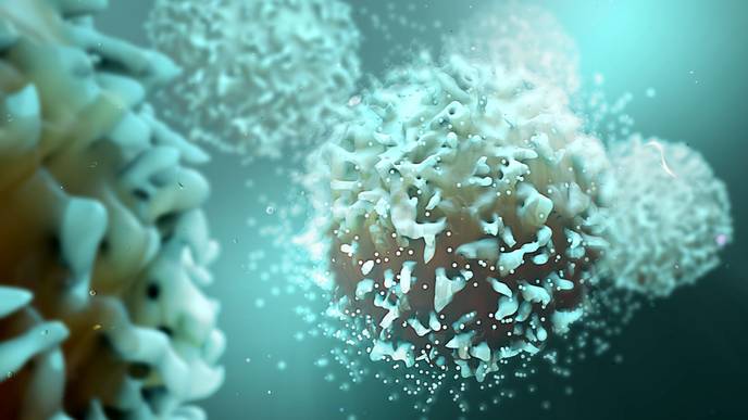 ReachMD Healthcare Image