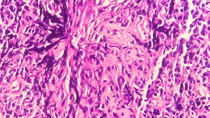 ReachMD Healthcare Image