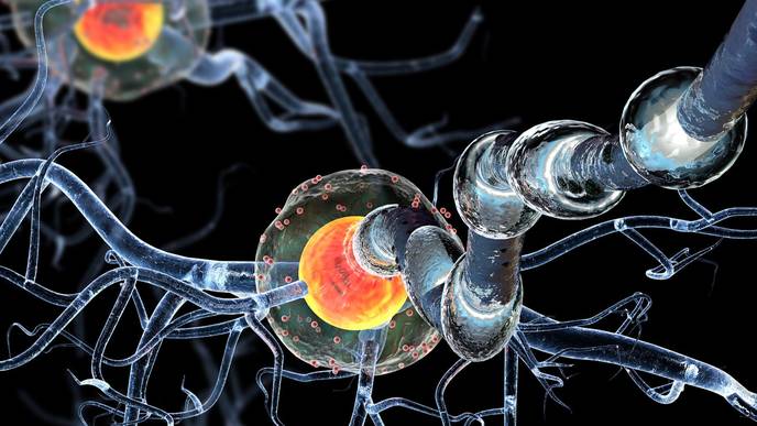 ReachMD Healthcare Image