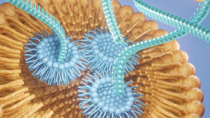 ReachMD Healthcare Image