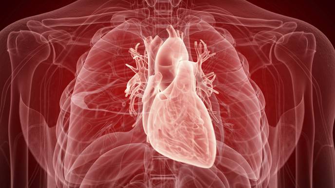 New Evidence That COVID-19 Can Have Lasting Effects on Heart Health