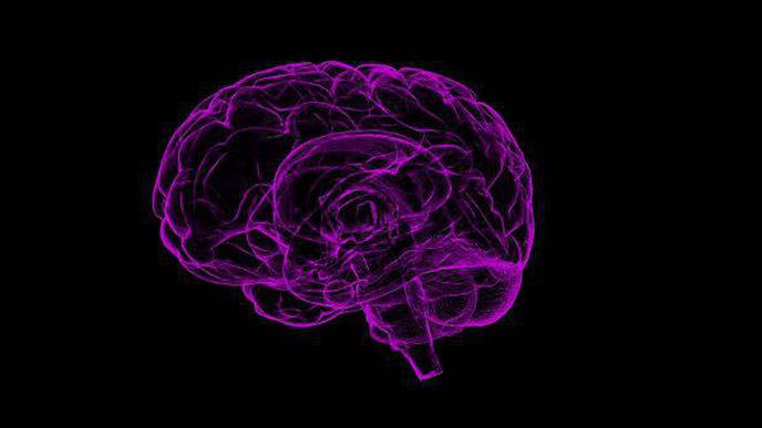 Alternative Model of Alzheimer's Emphasizes Different Set of Mechanisms That Lead to Neurodegeneration