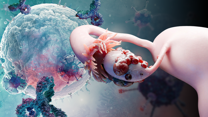 ReachMD Healthcare Image