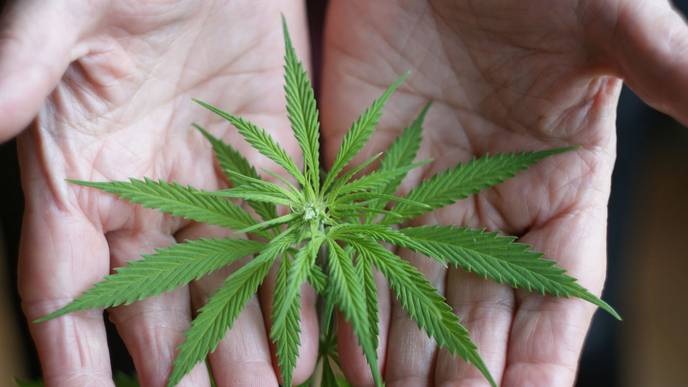 ReachMD Healthcare Image