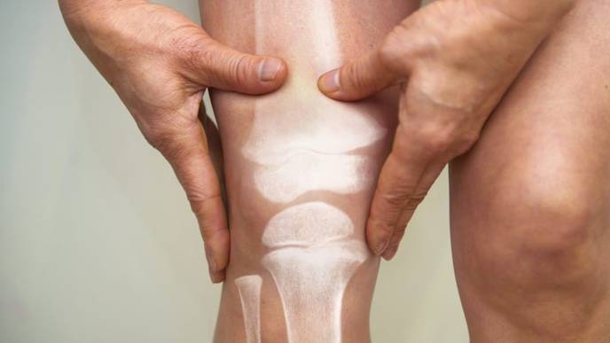 New Method Could Help Regrow Cartilage in the Joints