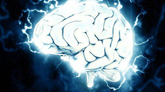 New Research Reveals Why Low Oxygen Damages the Brain