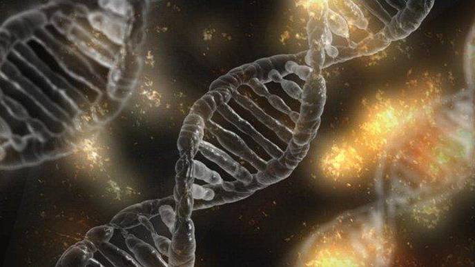 Next-Generation Sequencing to Provide Precision Medicine for Rare Metabolic Disorders