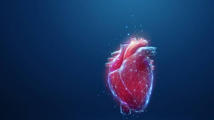 ReachMD Healthcare Image