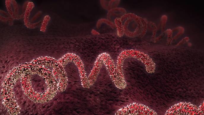 ReachMD Healthcare Image