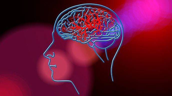 Could Leak in Blood-Brain Barrier Be Cause of Poor Memory?