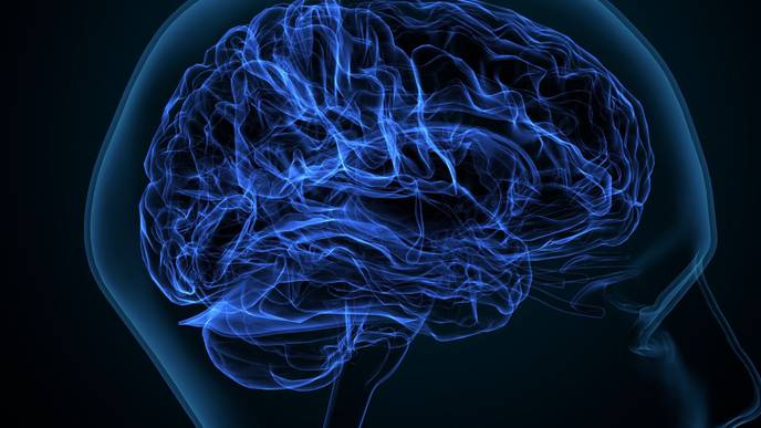 ReachMD Healthcare Image