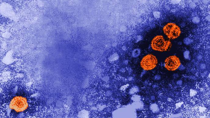 New Combination Therapy Offers Chance of Healing Hepatitis B