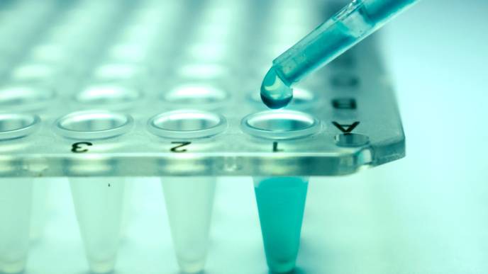 ReachMD Healthcare Image