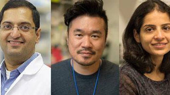 Scientists Identify Potential Drug Candidates for Deadly Pediatric Leukemia