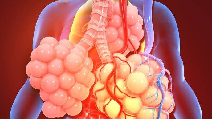 ReachMD Healthcare Image