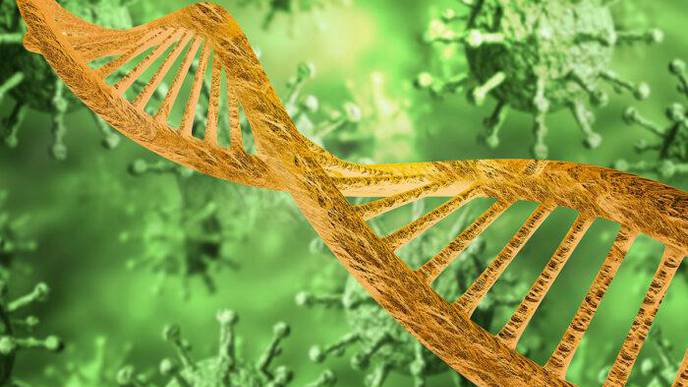 COVID-19 Study Looks at Genetics of Healthy People Who Develop Severe Illness