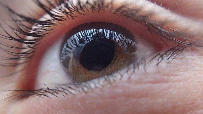 Common HIV Drugs May Prevent Major Cause of Blindness