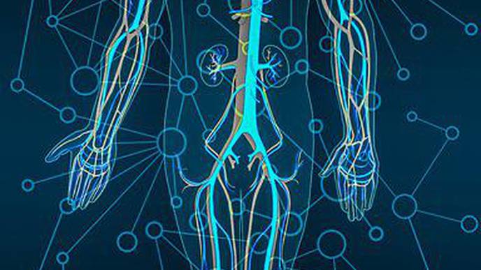 ReachMD Healthcare Image