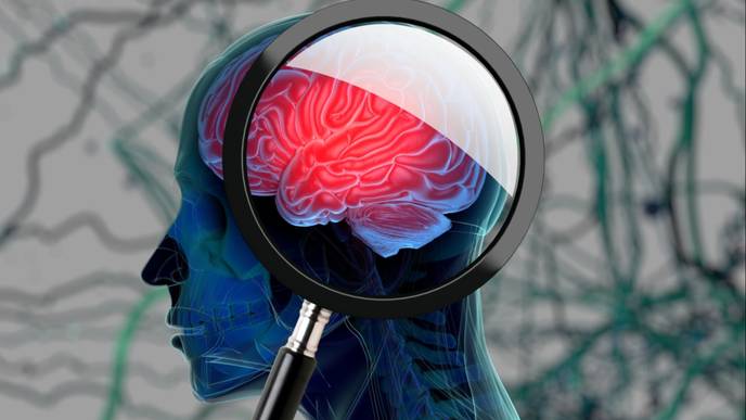 ReachMD Healthcare Image