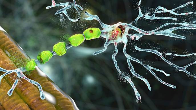 ReachMD Healthcare Image