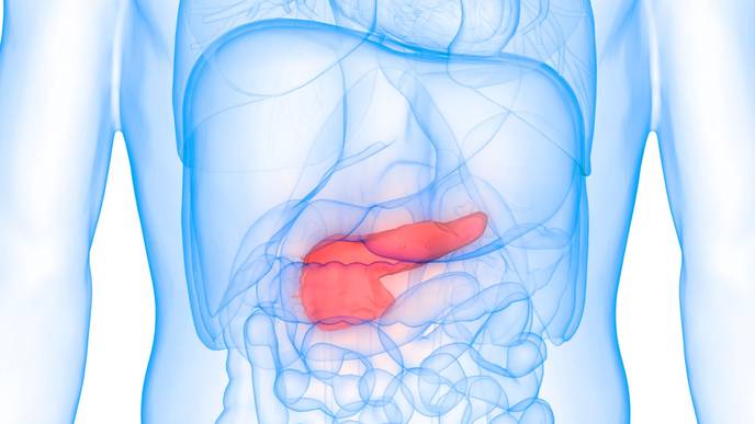 ReachMD Healthcare Image