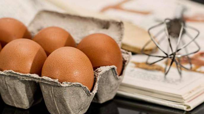 Daily Protein Intake Linked to AFib in Women