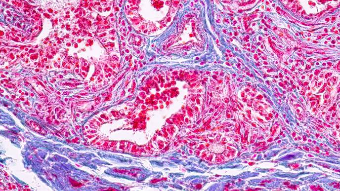 ReachMD Healthcare Image