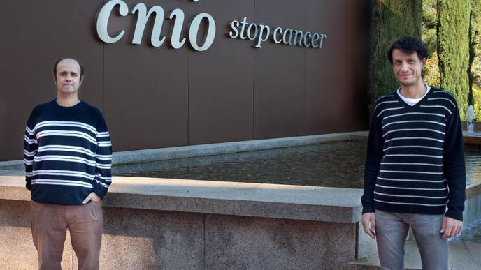 Researchers Explain the Toxicity of USP7 Inhibitors, Under Development for Cancer Treatment