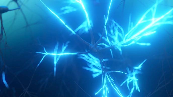 ReachMD Healthcare Image