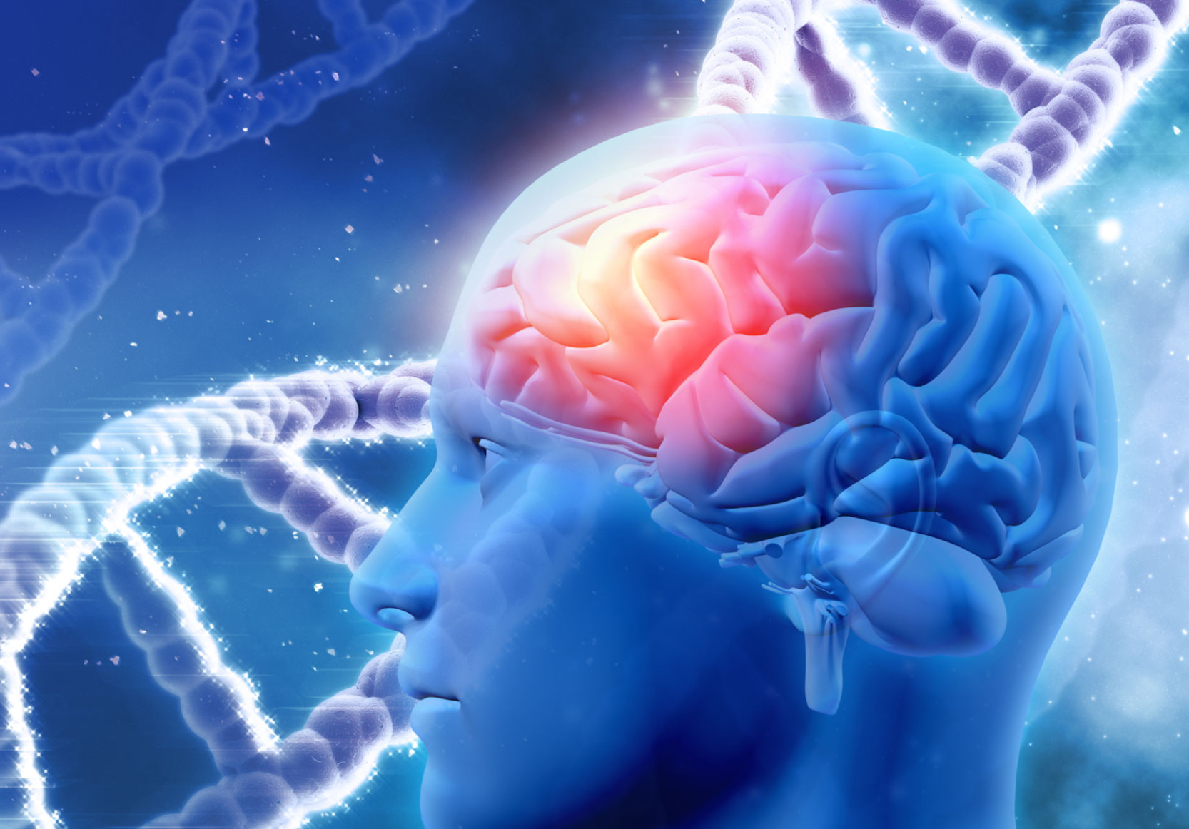 Scientists Map Networks Regulating Gene Function in the Human Brain ...